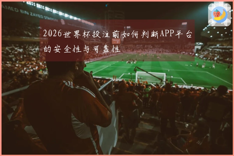 2026世界杯投注前如何判断APP平台的安全性与可靠性