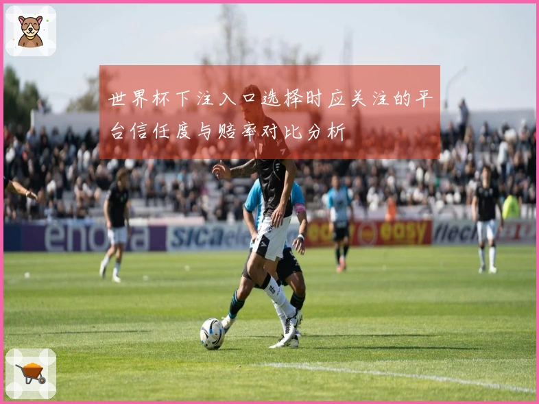 世界杯下注入口选择时应关注的平台信任度与赔率对比分析