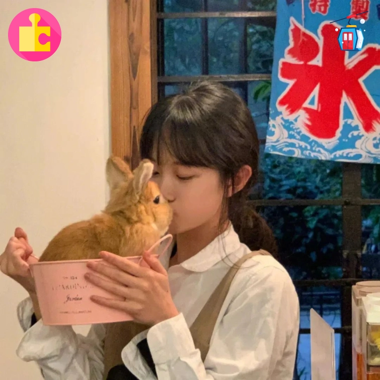 晚安账号